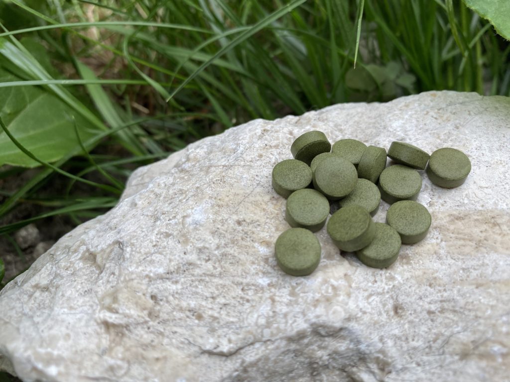 Chlorella